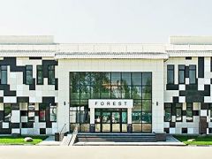 Forest hotel