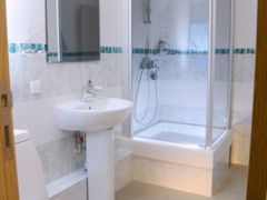 Родник Алтая