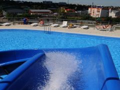 Родник Алтая