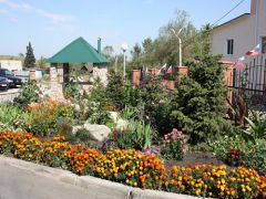 Долина Алтая 