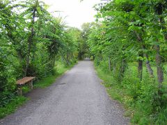 Озеро Медвежье 