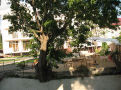 Фандоринъ