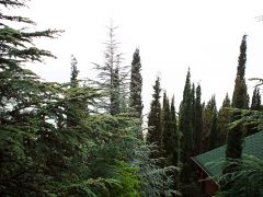 Береговой (Алушта)