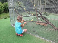 Черноморец (Песчаное)