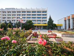 Южный (Николаевка)