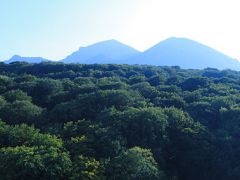 Буковая роща