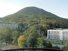 Буковая роща