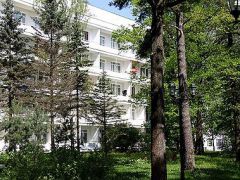 Сосны  (УДП РФ)