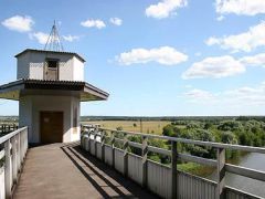 Сосны  (УДП РФ)