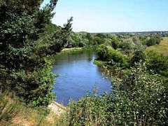 Сосны  (УДП РФ)