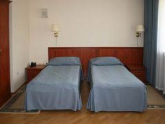 Виктория (Московская обл.)