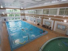 Виктория (Московская обл.)