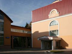 Виктория (Московская обл.)