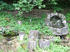 Каширские роднички