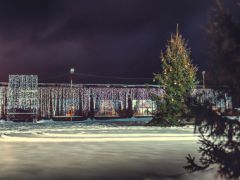 Сорочаны