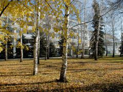 Самарский