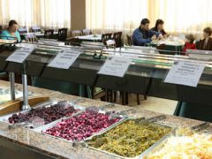 Россия (Белокуриха)