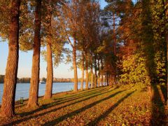 «Клязьма» ФГАУ Дом отдыха «Клязьма» УДП РФ 