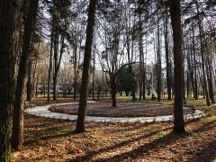 «Клязьма» ФГАУ Дом отдыха «Клязьма» УДП РФ 