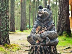 Большая Медведица