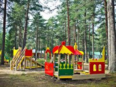 Большая Медведица