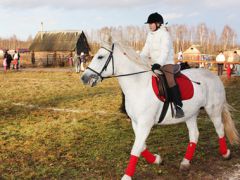 Барская усадьба