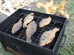 Долина ИВолга