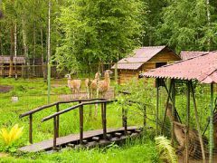 Селигерское Заплавье