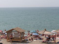 Золотая рыбка