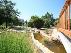 Северное Сияние