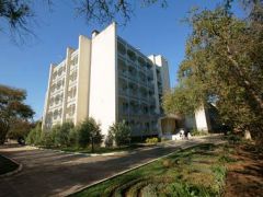 Саки(Саки)