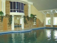 Лесная Новь