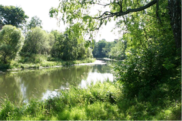 Нара
