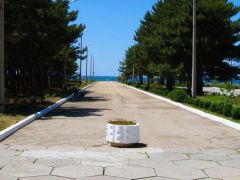 Волна Люкс