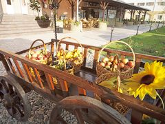 Ривьера-клуб.Отель&SPA