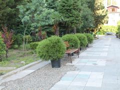 Автомобилист