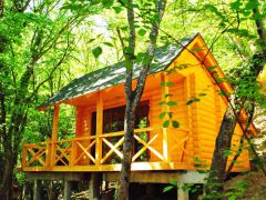 Поляна сказок