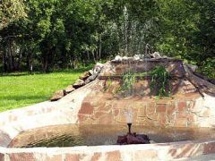 Березки