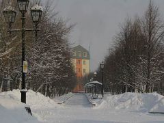 Березки