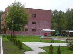 Березки