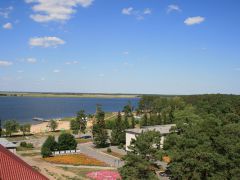 Сосновая Роща