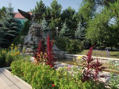 Лесной (Железноводск)