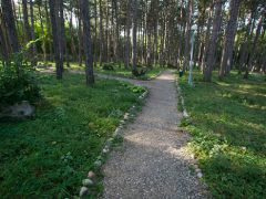 Лесной (Железноводск)
