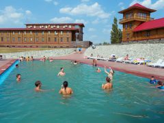 Кленовая роща