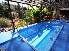 Арго (Лазаревское)