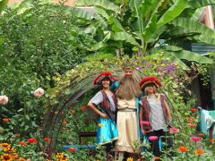 Арго (Лазаревское)