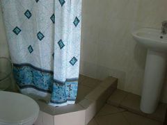 Золотая Рыбка