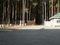 Сосновый бор