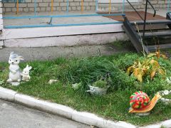 Сосновый бор