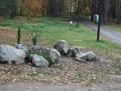 Сосновый бор